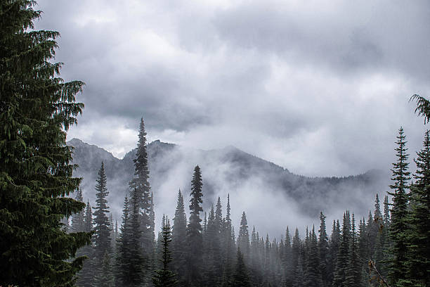 Trees, mountains, and clouds stock photo