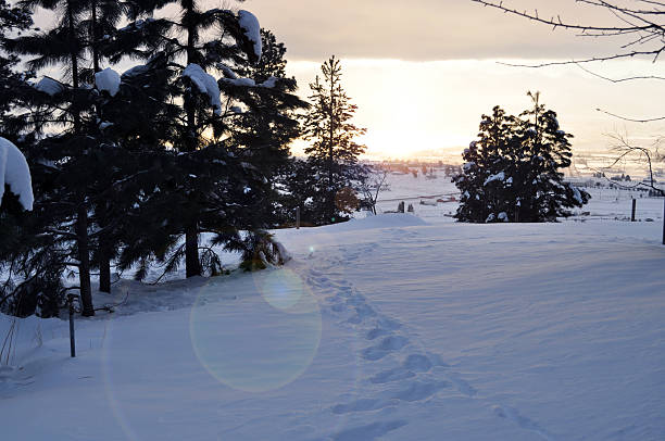 Winter Sunset Lens Flare stock photo