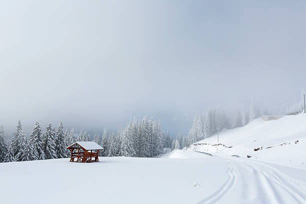 istock Refuge in mountain with forest on winter 486915677