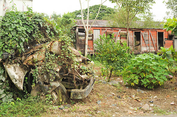 istock Abandoned train wagon at Quirigua 486915727