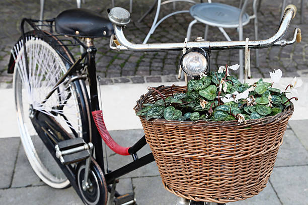 istock Vintage bicycle carrying flowers 486916269