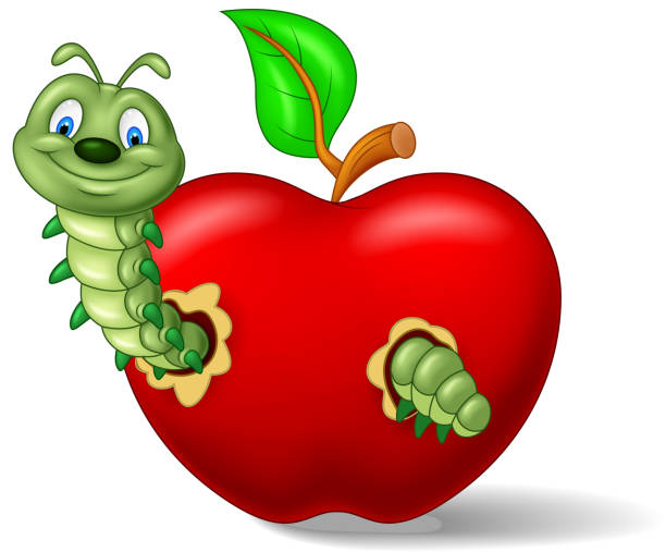 Caterpillar eat the apple studying, vegetarian, larva, fun, red, loss, comic, vector, creature, character, bite, cute, learning, smile, crawl, small, funny, illustration, luck, humor, insect, childhood, school, disgust, education, apple, fruit, cheerful, nature, food, little, eye, caterpillar, cartoon, animal caterpillar eating apple stock illustrations