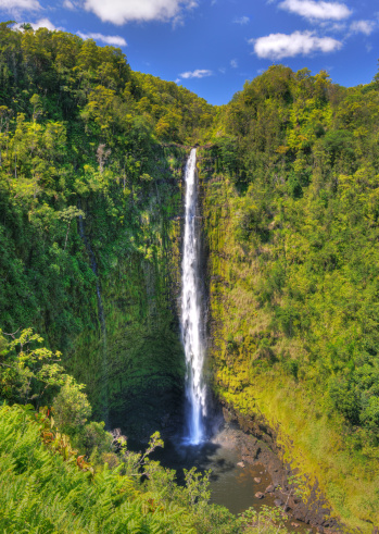 Akaka Falls on Big Island, Hawaii.