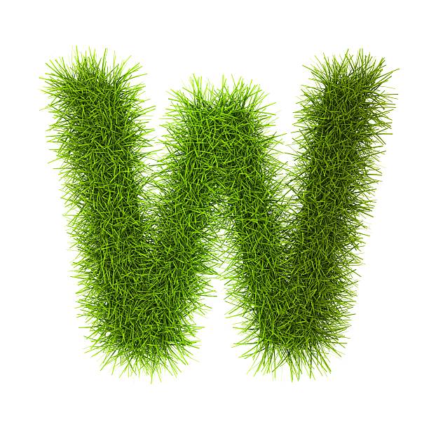 istock Grass style Latin Alphabet Letters and Numbers 486916705