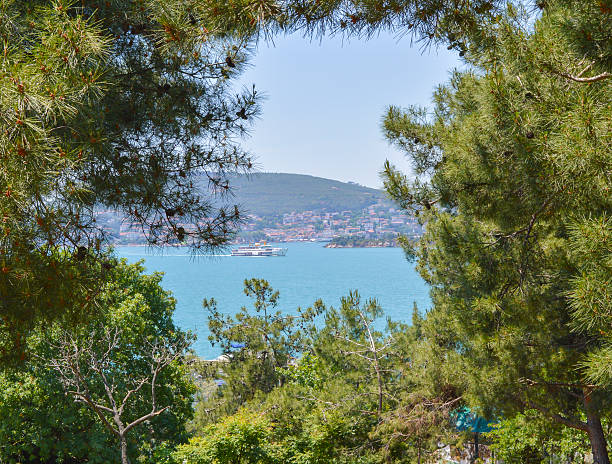 istock View over coastal bay of island 486918262