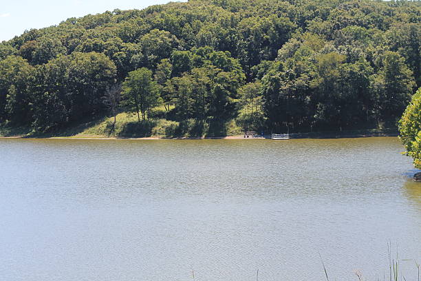 istock View of trees and lake 486918398