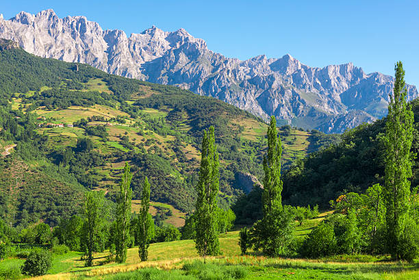 picos de europa montagne vicino a fuente de village, cantabria (spagna - golfo di biscaglia foto e immagini stock