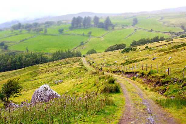 Walkway waving through the green hills in Kerry, Ireland.