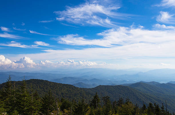 istock Great Smoky Mountain National Park 486919334