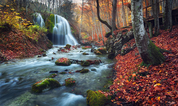 istock Beautiful waterfall in autumn forest in crimean mountains 486919756