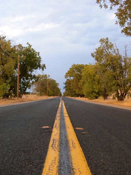 istock Middle of the Road 486919872