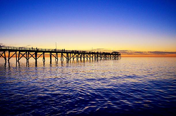 istock Jetty silhouette at sunset on Grange Beach, South Australia 486920049
