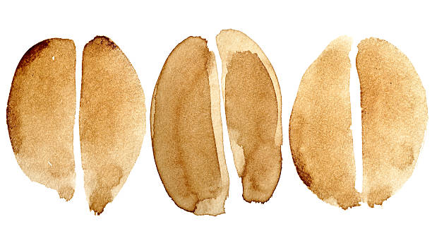 Set of coffee beans