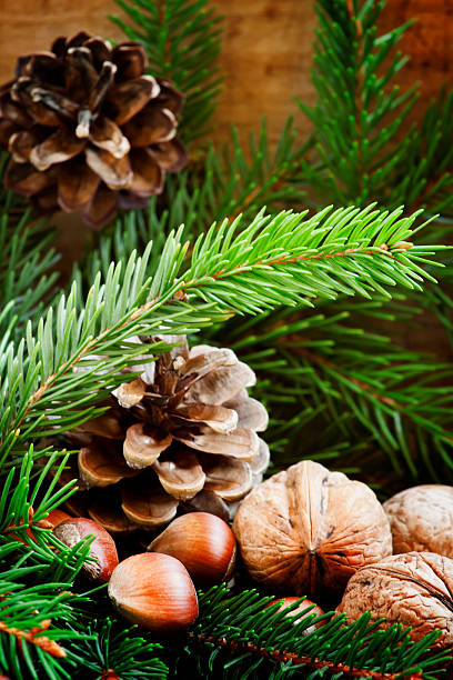 istock Christmas background with walnuts, hazelnuts and fir branches 486922496