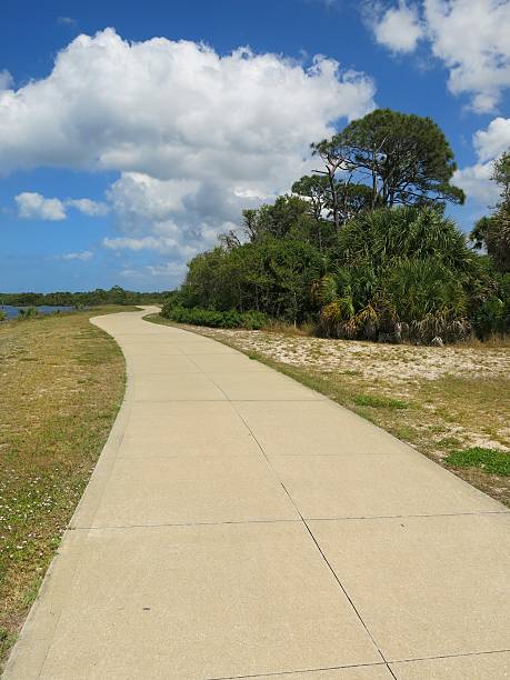 istock Pedestrian Walkway Path Along Water in Sunny Florida, Trees 486923438