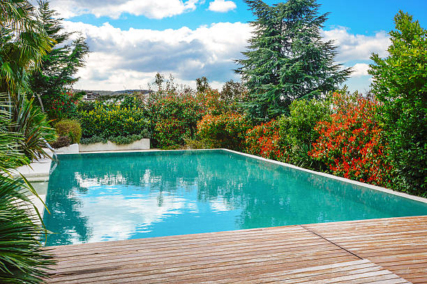 istock Swimming Pool Of House 486926536