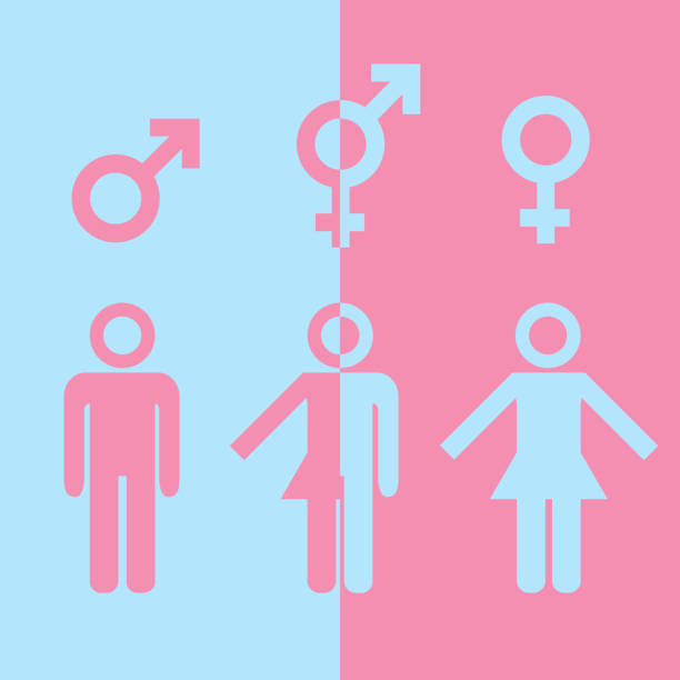 transseksualista icon - multi ethnic group couple sex women stock illustrations