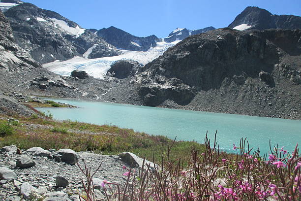 istock Wildflowers growing in front of a turquoise lake 486927582