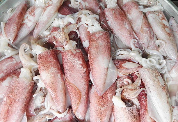 istock Fresh squid on the seafood market 486928158