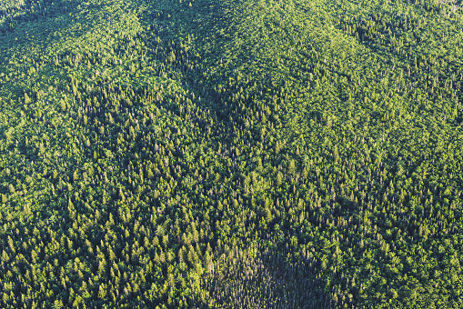 An aerial view of lush, unspoiled Nova Scotian wilderness.  Taken from an altitude of appoximately 1000'.