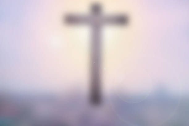 istock Natural background blurred.warm colors and bright sunset. 486930362