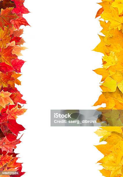 Autumn Maple Leaves Frame Stock Photo - Download Image Now - 2015, Abstract, Arrangement