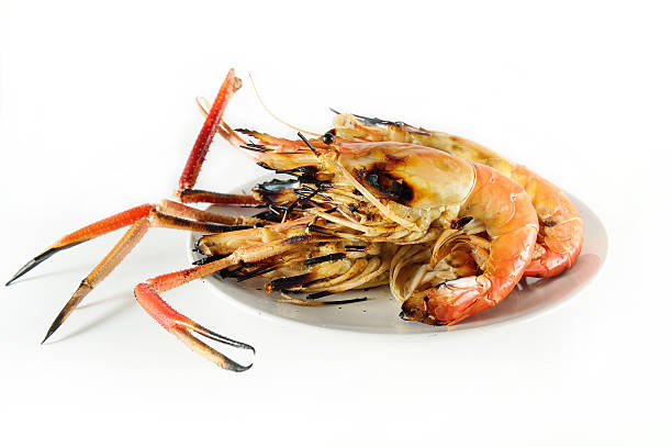 Grilled prawn on the white plate stock photo