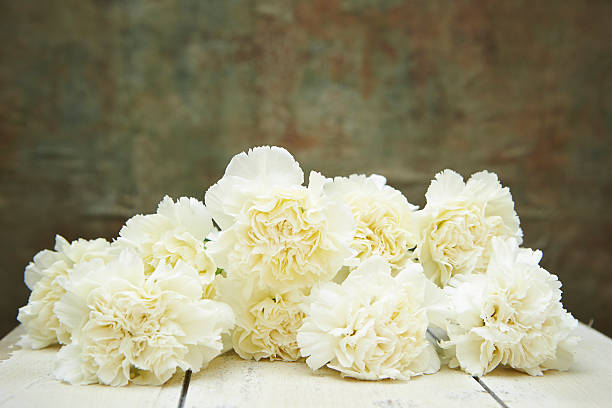 Carnations Carnations carnation flower photos stock pictures, royalty-free photos & images