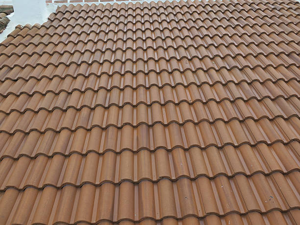 istock Concrete Roof Tiles 486932178