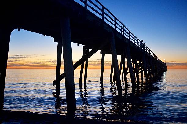 istock Jetty silhouette at sunset on Grange Beach, South Australia 486932479