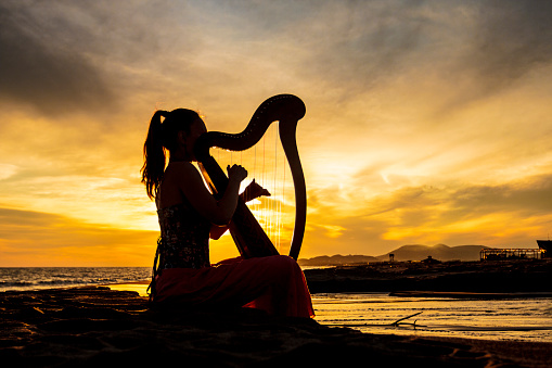 Harp musician on sunset