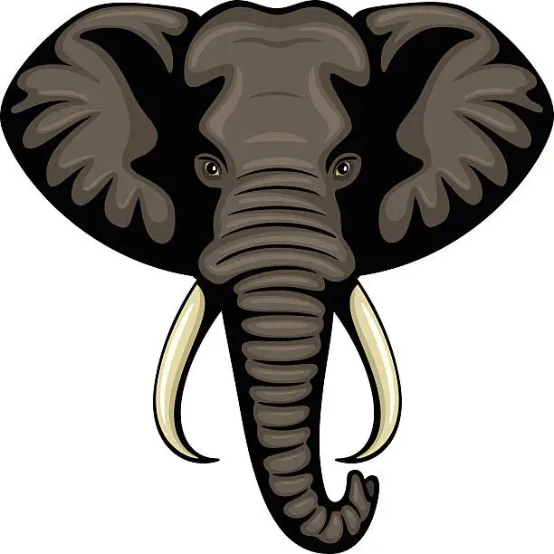 Vector illustration of Elephant Head