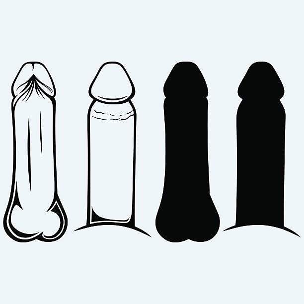 Anatomy of penis Anatomy of penis. Isolated on blue background phallic object stock illustrations