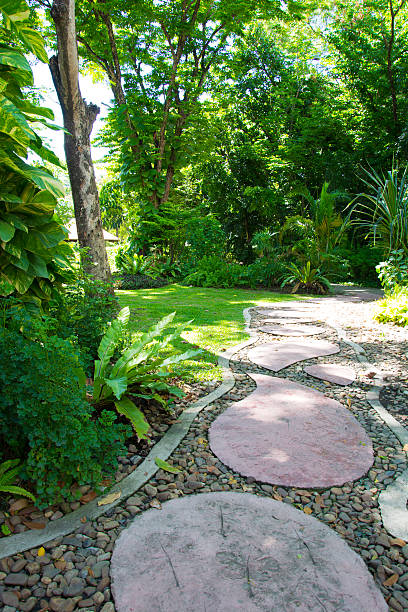 istock The path in the garden 486934358