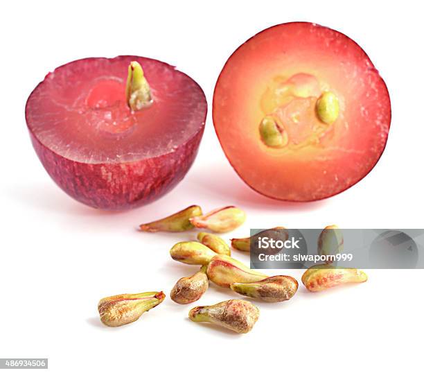 Grape Seeds On White Background Macro Closeup Stock Photo - Download Image Now - Grape, Seed, Cut Out