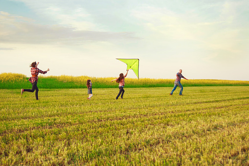 Family launches a kite in the field