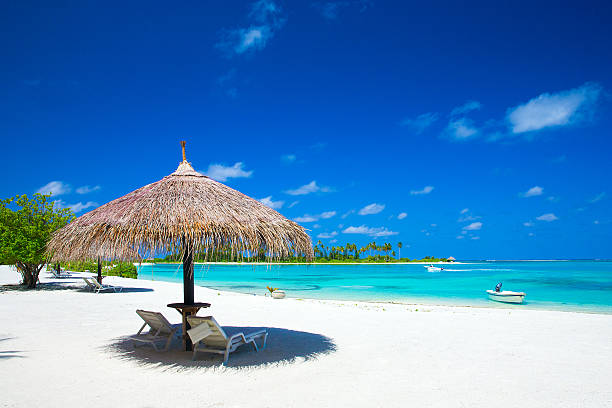 istock sea in Maldives 486935258