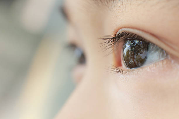eye of a child file_thumbview_approve.php?size=3&id=38625962 japanese boy and girl stock pictures, royalty-free photos & images