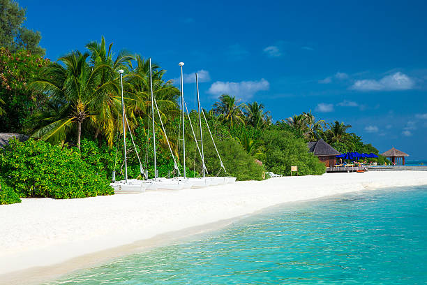 istock sea in Maldives 486935944