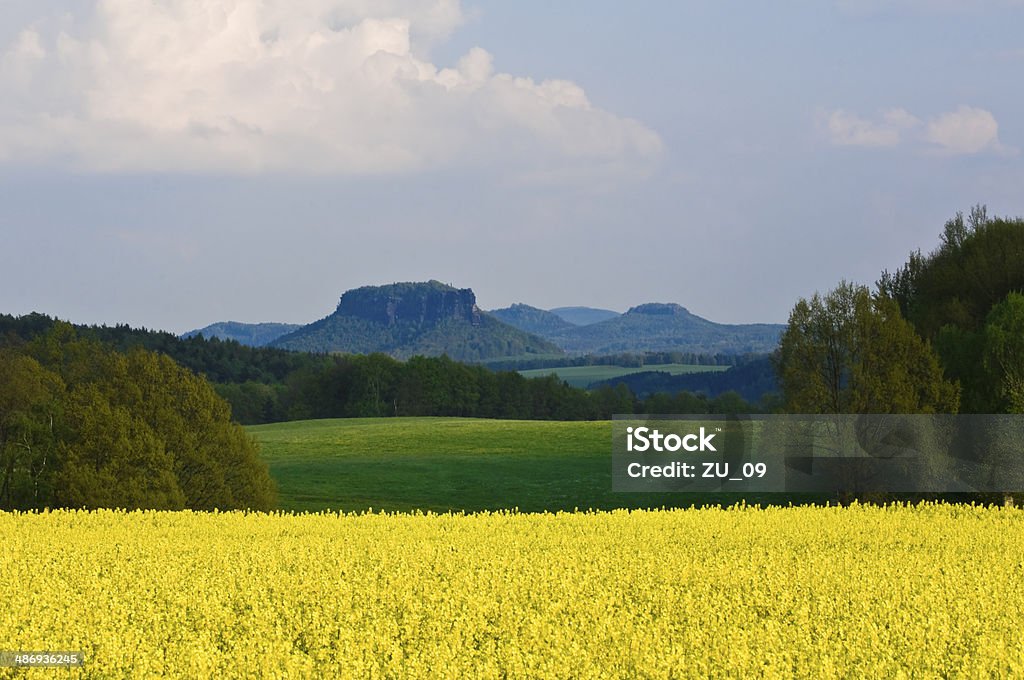 Sächsische Schweiz - Lizenzfrei Sachsen Stock-Foto