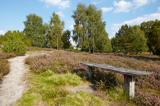 Ko General Term Heathland 0 0 ko-general-term-heathland-0-0