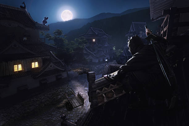ninja samurai japonês no telhado do castelo - ninja imagens e fotografias de stock
