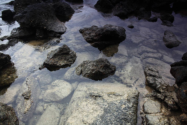 istock rocks on the coast texture of stone and water 486936592