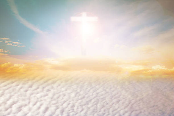 istock Natural background blurred.warm colors and bright sunset. 486936782