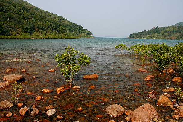 MacLehose Trail,Hong Kong Country Parks