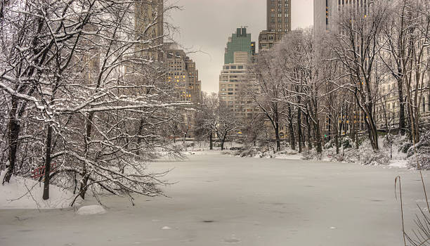 istock Central Park, New York City 486938509