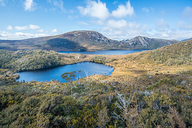 istock Cradle mountain national park, Tasmania, Australia. 486938744