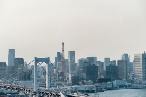 Tokyo skyline with Rainbow Bridge and Tokyo Tower in sight.