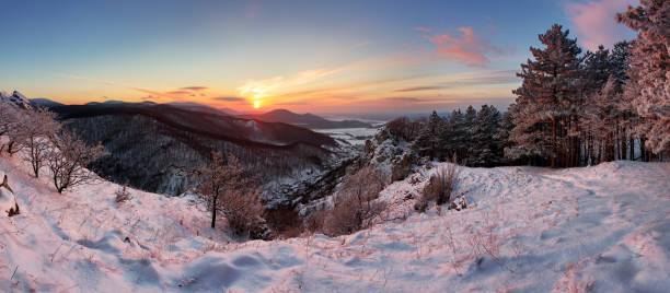 istock Forest mountain landscape at winter 486940590