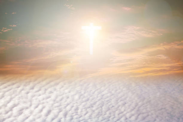 istock Natural background blurred.warm colors and bright sunset. 486941080